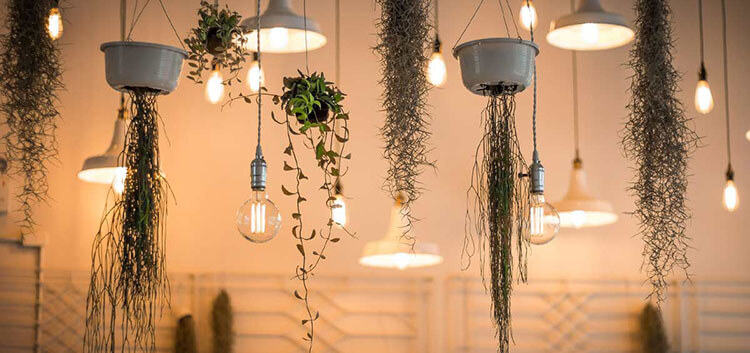 LED-Lights-2